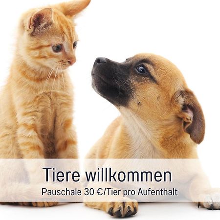 Rosmarin - Kuschelige Fewo - Romantik & Entspannung Im Whirlpool Auf Privater Terrasse, Ruhe & Hund Willkommen - By Ferienwohnenamsee - Uberlingen Exterior photo